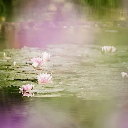 App 2 - T2 Lumineux Et Jardin Hyper-centre 5min De La Gare *