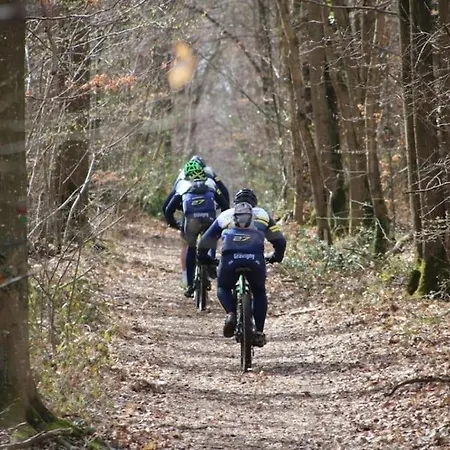 Apartament App 2 - T2 Lumineux Et Jardin Hyper-centre 5min De La Gare *