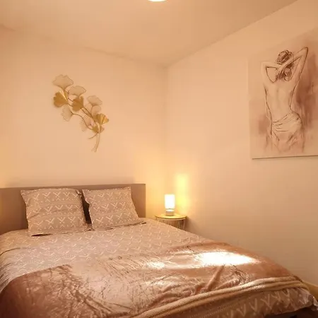 App 2 - T2 Lumineux Et Jardin Hyper-centre 5min De La Gare