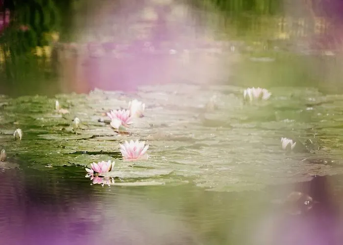 App 2 - T2 Lumineux Et Jardin Hyper-centre 5min De La Gare *