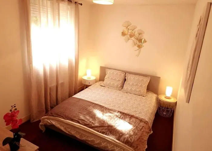 App 2 - T2 Lumineux Et Jardin Hyper-centre 5min De La Gare