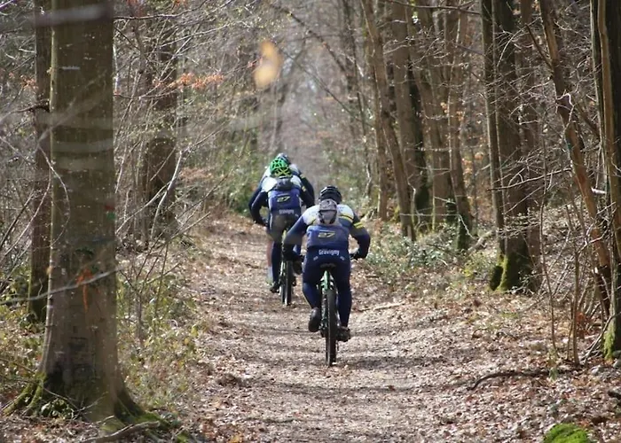 Apartament App 2 - T2 Lumineux Et Jardin Hyper-centre 5min De La Gare *